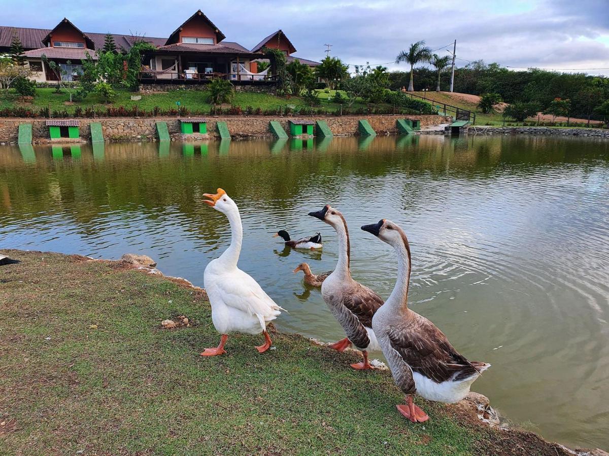 Apartamento Winterville Residence Em Gravata 2 Qtos Luaran gambar